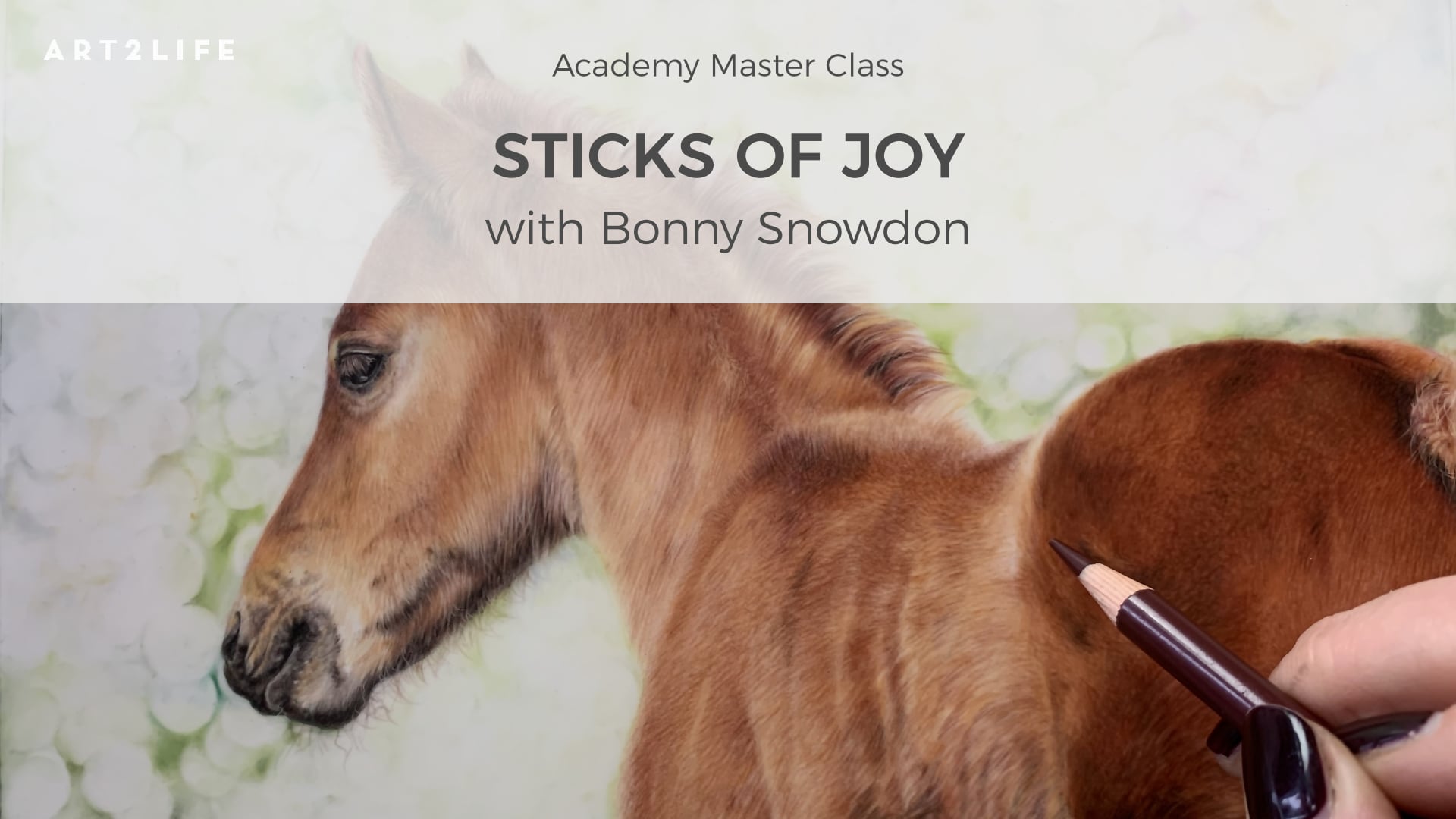 #110 MASTER CLASS — STICKS OF JOY with BONNY SNOWDON