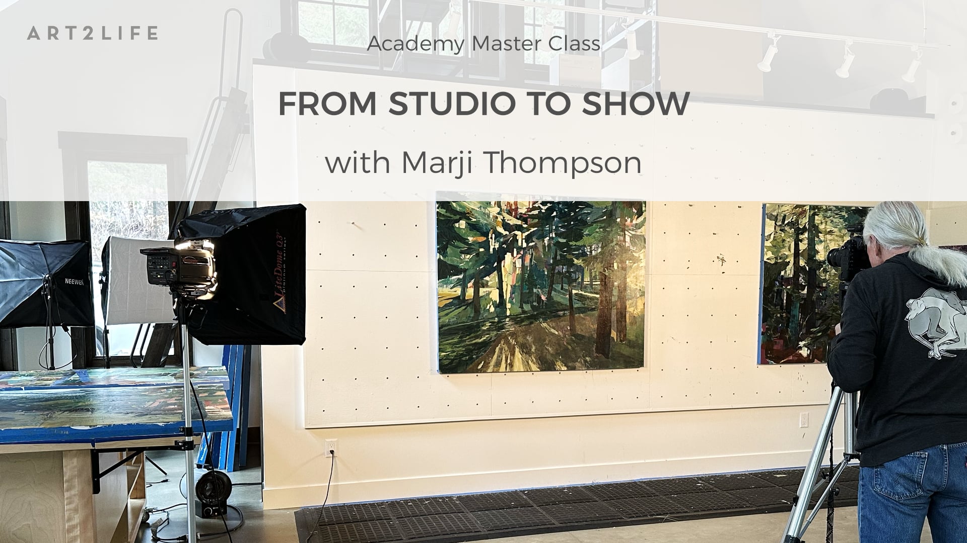 Photography studio setup with lighting rigs and a photographer filming paintings on the wall.